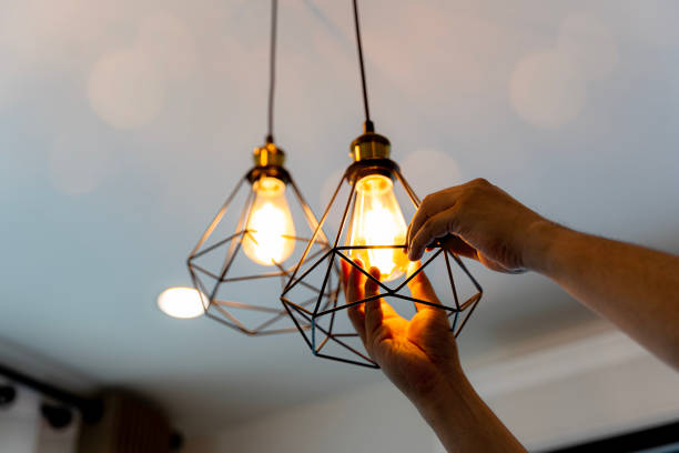 Best Local Electrician Companies  in Monroe, MI