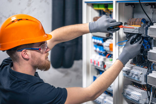 Best Residential Electrician Services  in Monroe, MI